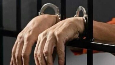 15 عامًا سجنًا مشددًا لقاتلي شاب في مشاجرة دامية بالطالبية