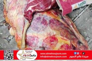 ضبط 435 كجم لحوم غير صالحة للاستهلاك بكفرالشيخ خلال حملة تفتيش موسعة 2 ضبط 435 كجم لحوم غير صالحة للاستهلاك بكفرالشيخ خلال حملة تفتيش موسعة