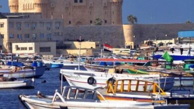 اكتشف سحر الإسكندرية.. كنوز أثرية وشواطئ خلابة