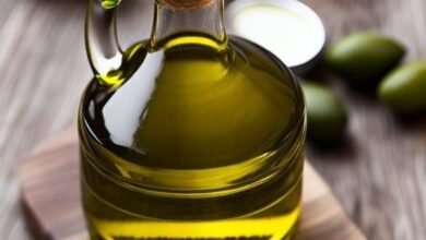 زيت الزيتون: الذهب السائل لصحة أقوى وجمال طبيعي