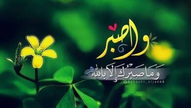 الصبر في القرآن الكريم.. معاني ودلالات ربانية