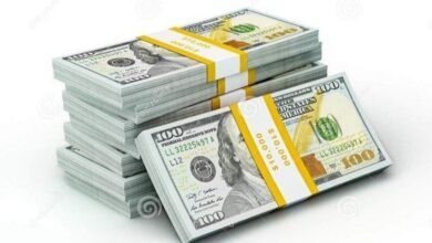 سعر الدولار مقابل الجنيه اليوم الإثنين 28 أبريل 2025 في البنوك بعد تراجع طفيف