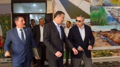 وزير الزراعة ومحافظ الإسكندرية يبحثان التعاون في رفع كافة الاصول تنفيذا لتكليفات القيادة السياسية