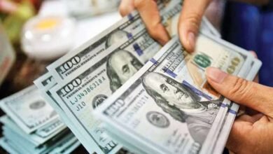 استقرارسعر الدولار اليوم في مصر السبت 3 مايو 2025