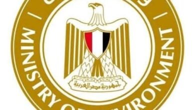 وزيرة البيئة توجه باتخاذ الإجراءات العاجلة لاحتواء تلوث بترولي قرب مدينة أبورديس
