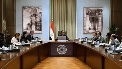 رئيس الوزراء يستقبل الرئيس التنفيذي لشركة "فيزا"