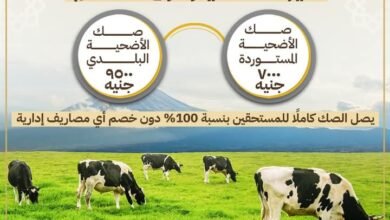 اليوم.. انطلاق حملة صكوك الأضاحي لعام ١٤٤٦هـ / ٢٠٢٥م
