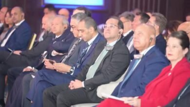 وزير المالية.. الاقتصاد المصرى يتحرك بخطى جيدة ويوفر  فرصًا استثمارية كبيرة 