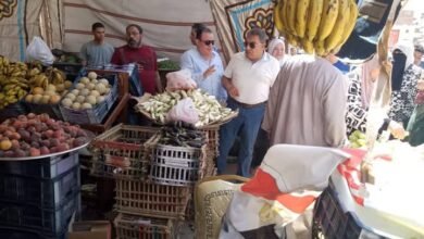 محافظ الدقهلية: يتفقد منفردا سوق اليوم الواحد وعدد من منافذ البيع
