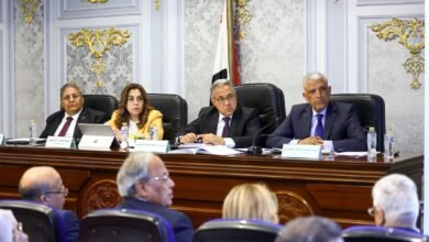 وزيرة التنمية المحلية تشارك فى اجتماع لجنة الإدارة المحلية بمجلس النواب