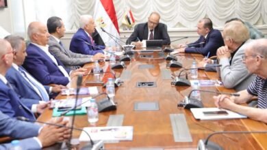 وزير العمل يلتقي وفدًا من "الجمعية المصرية لأصحاب المدارس الخاصة" لمناقشة ملفات ذات الإهتمام المُشترك