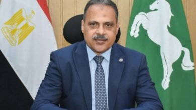 محافظ الشرقية: إنتظام سير العمل بمنظومة توريد القمح لشون وصوامع المحافظة