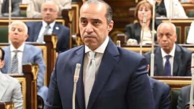  المستشار محمود فوزي: الحكومة آلت على نفسها ترك المساحة للقوى السياسية والاحزاب لتقرر النظام الانتخابي الأنسب  