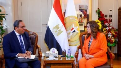 وزيرة التنمية المحلية تتابع مع محافظ قنا الموقف التنفيذي لمشروعات برنامج تنمية الصعيد 