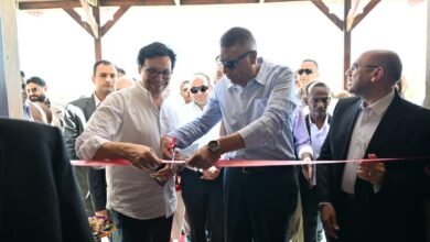 وزير الثقافة ومحافظ أسوان يفتتحان قصر ثقافة أبو سمبل الجديد