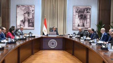 رئيس الوزراء يتابع موقف تنفيذ عددٍ من المشروعات الخدمية والتنموية بالوادي الجديد 