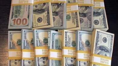 تراجع جديد في سعر الدولار أمام الجنيه المصري اليوم الإثنين 19 مايو 2025