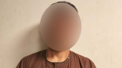 ضبط متهم بالتحرش بطفلة أجنبية داخل حديقة عامة بمدينة نصر