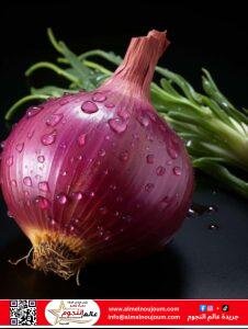 أنواع البصل واستخداماته في الطهي.. دليلك لاختيار البصل المناسب