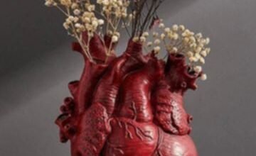 لا تغلق على قلبك: اتركه يحب ويشعر بالسعادة