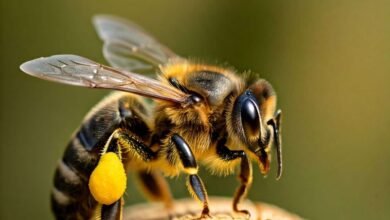 قصة "النحلة الكسولة".. للأطفال