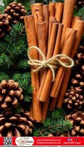 القرفة: التوابل الذهبية لفوائد صحية مذهلة 4 القرفة: التوابل الذهبية لفوائد صحية مذهلة