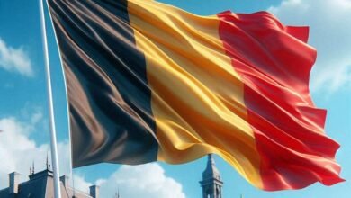 تحركات دولية عاجلة لدعم غزة: ألمانيا تتواصل مع إسرائيل والبابا يجدد مناشدته لوقف الأعمال العدائية