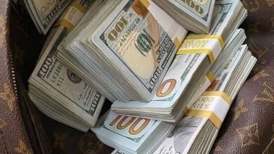 الدولار يواصل الاستقرار عند 50.80 جنيه.. أسعار العملات الأجنبية اليوم الخميس 1 مايو 2025