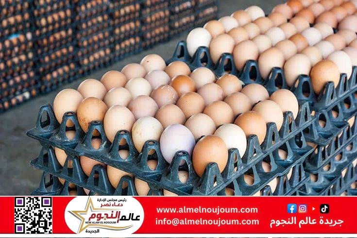 الإصلاح الزراعي يطرح بيض المائدة بأسعار مخفضة ويواصل دعم المزارعين في موسم حصاد القمح