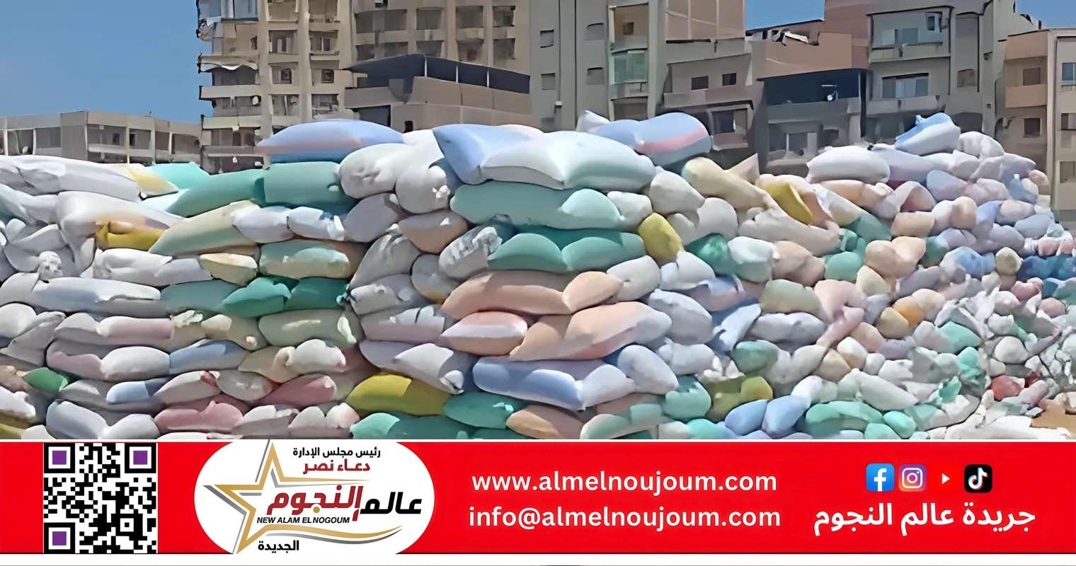 الشرقية تورد أكثر من 233 ألف طن قمح منذ بدء الموسم وسط متابعة يومية