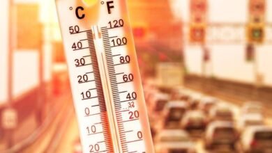 طقس حار نهارًا ومائل للبرودة ليلًا في المنيا وشمال الصعيد اليوم الأربعاء 7 مايو 2025