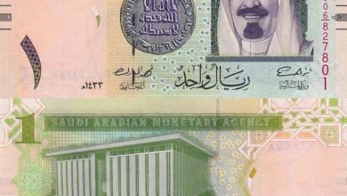 سعر الريال السعودي اليوم الأحد 4 مايو 2025 منتصف التعاملات البنكية