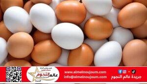 الإصلاح الزراعي يطرح بيض المائدة بأسعار مخفضة ويواصل دعم المزارعين في موسم حصاد القمح 4 الإصلاح الزراعي يطرح بيض المائدة بأسعار مخفضة ويواصل دعم المزارعين في موسم حصاد القمح