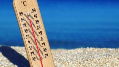 الأرصاد: طقس مائل للحرارة نهارًا ومعتدل ليلًا اليوم الجمعة 30 مايو 2025