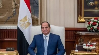 السيسي يُجدد تكليف المستشار محمد عبد الوهاب بالإشراف على الأمانة العامة للمجالس التخصصية لعام ثانٍ