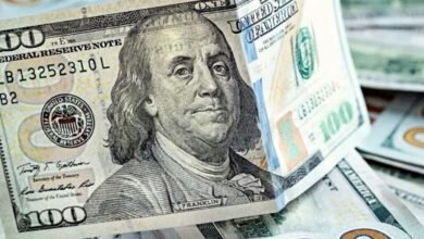الدولار يواصل الاستقرار أمام الجنيه اليوم الأحد 25 مايو 2025.. وأقل سعر في البنك المصري الخليجي