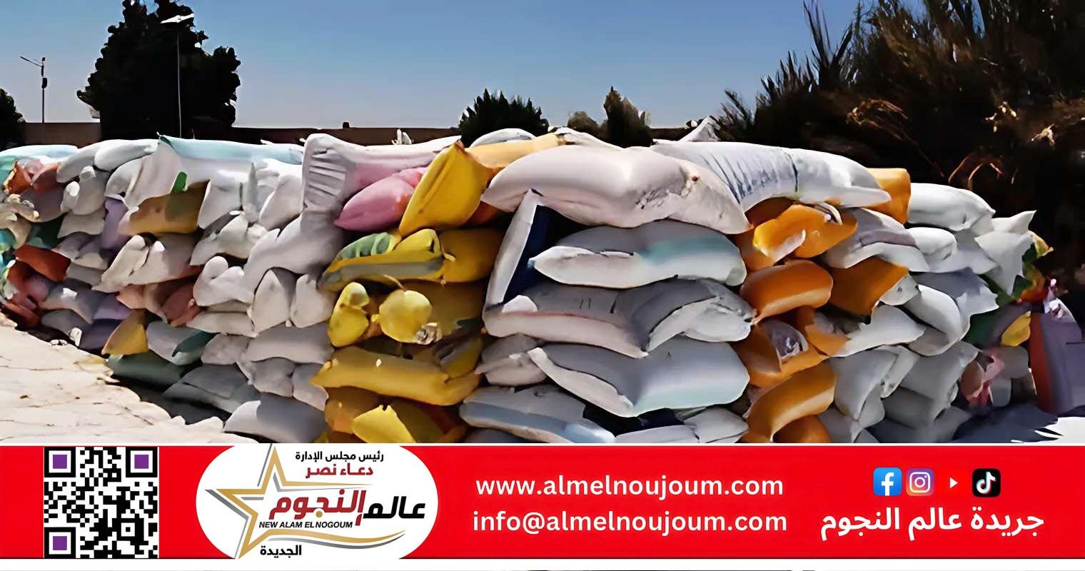الشرقية تورد أكثر من 233 ألف طن قمح منذ بدء الموسم وسط متابعة يومية