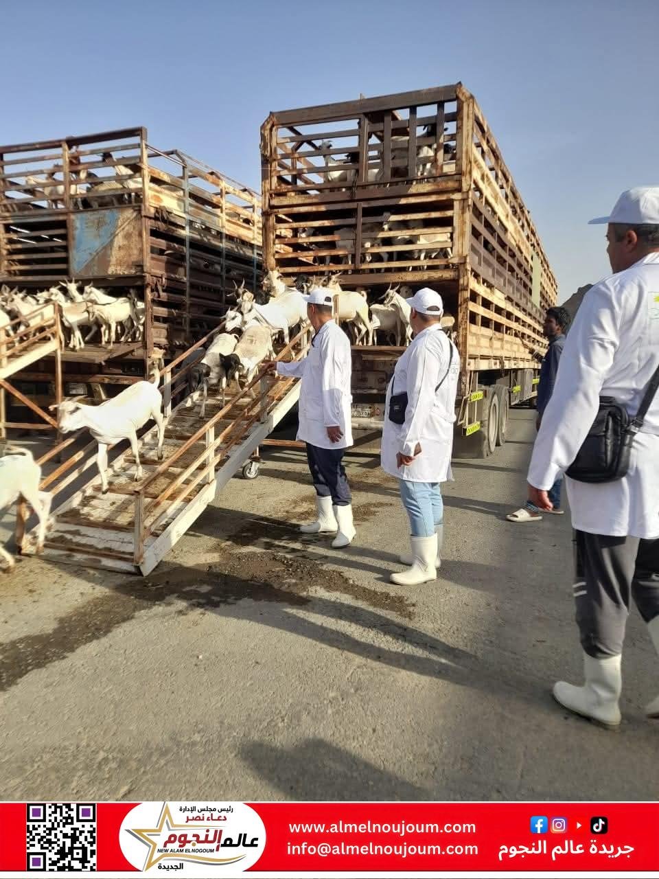 وزير الزراعة يتابع أعمال البعثة البيطرية المصرية للإشراف على الهدي والأضاحي بالمملكة العربية السعودية 2 وزير الزراعة يتابع أعمال البعثة البيطرية المصرية للإشراف على الهدي والأضاحي بالمملكة العربية السعودية