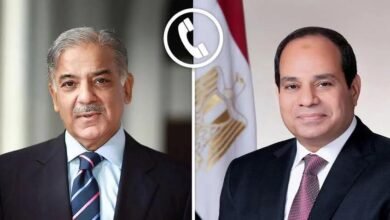 الرئيس السيسي يتلقي اتصالاً هاتفياً من رئيس الوزراء الباكستاني شهباز شريف