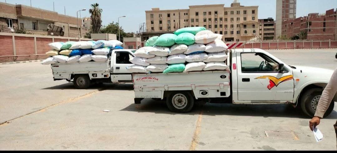 ارتفاع الكميات الموردة من القمح المحلي للمواقع التخزينية بمحافظة الشرقية