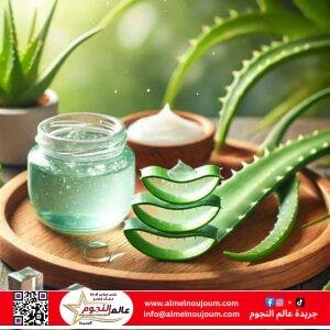 فوائد الصبار للجسم والبشرة: كنز الطبيعة الأخضر 2 فوائد الصبار للجسم والبشرة: كنز الطبيعة الأخضر