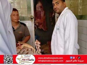 حملات تفتيش موسعة بكفر الشيخ تضبط 120 كجم لحوم وأسماك مجهولة المصدر قبل عيد الأضحى