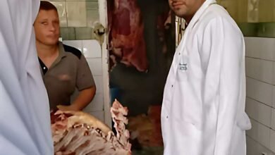 حملات تفتيش موسعة بكفر الشيخ تضبط 120 كجم لحوم وأسماك مجهولة المصدر قبل عيد الأضحى