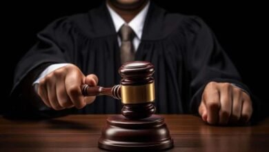 إحالة أوراق متهم بقتل نجلي عمه إلى المفتي تمهيدًا لإعدامه في الزقازيق