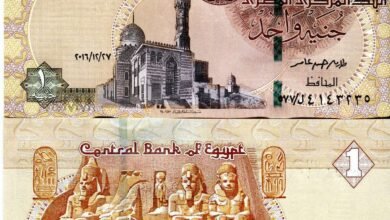 الجنيه المصري يسترد بعض خسائره أمام الدولار بعد تراجع حاد بسبب التوترات الإقليمية