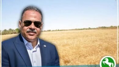منذ بداية الحصاد...صوامع وشون الشرقية تستقبل ٦٠٣٤٩٩ طن و ٦٨٦ كيلو من الأقماح المحلية 