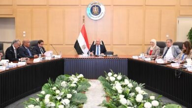 وزير الصناعة والنقل يبحث مع مصنّعي الحديد وشركات السيارات آليات توطين صناعة صاج السيارات