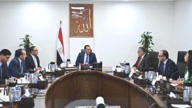 رئيس الوزراء يتابع مع "رئيس اقتصادية المثلث الذهبي" عدداً من ملفات العمل