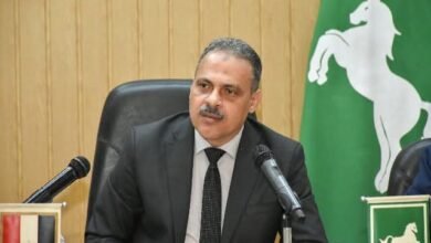 محافظ الشرقية ينعي وفاة الدكتور علي المصيلحي وزير التموين والتجارة الداخلية السابق 