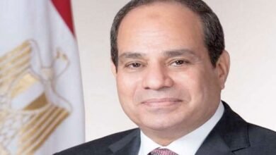 الرئيس السيسي يستقبل الشيخ محمد بن زايد آل نهيان رئيس دولة الإمارات العربية 